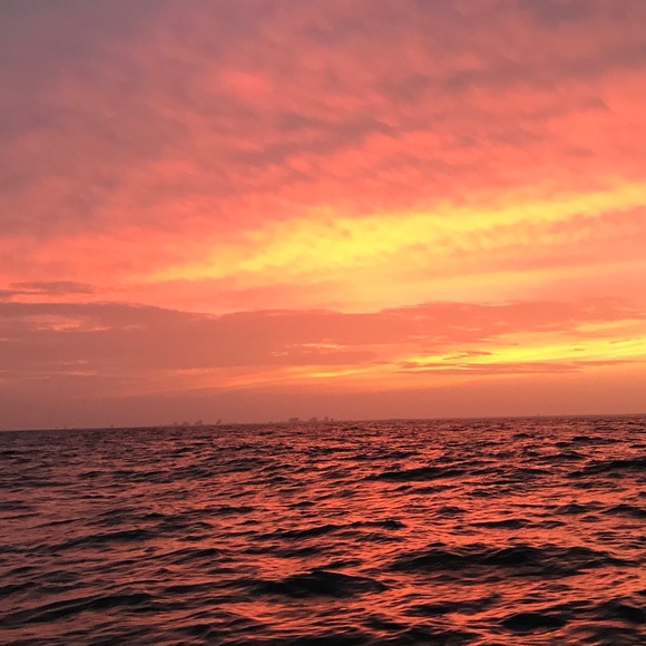 Meet your Posher, Jasmine - Picture 1 of 1